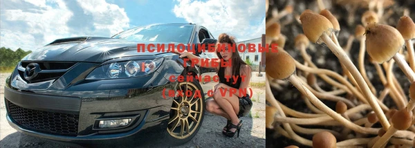СК Алексин