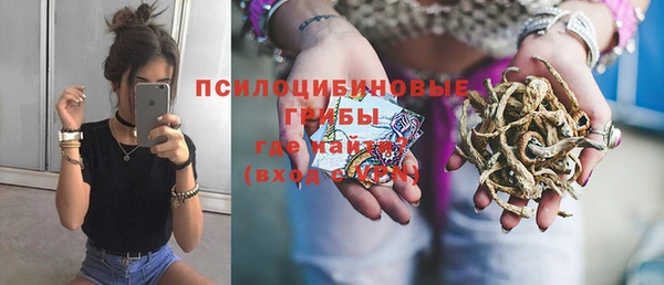 МДПВ Алексеевка